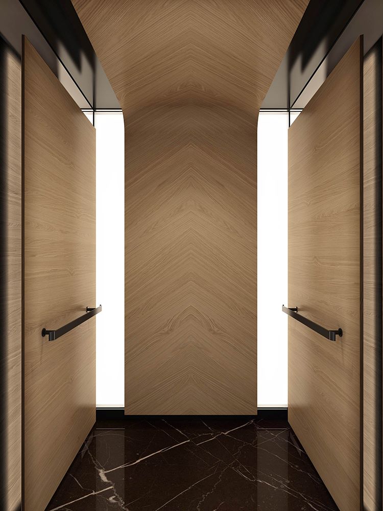 car styles-Traction Elevator Manufacturer-Fujixd